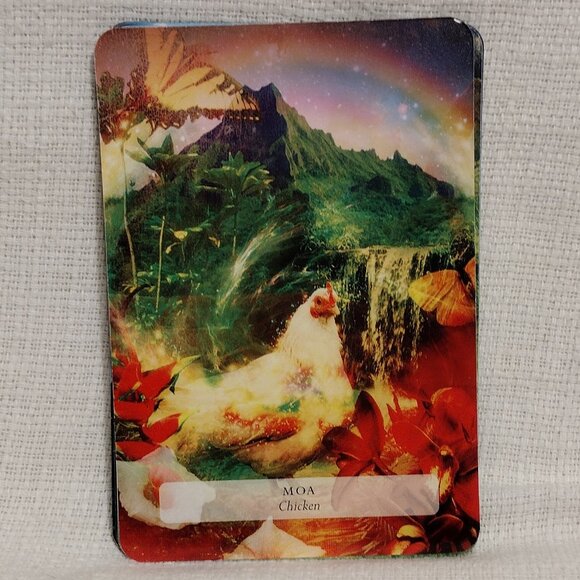 The Hawaiian Oracle - Picture 11 of 14